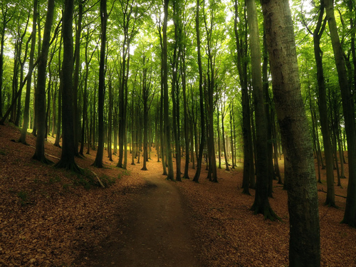 Ostseeradweg - Insel Rügen - Nonnewitz 2018