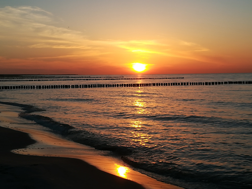 Sonneuntergang - auf dem Darß - bei Zingst