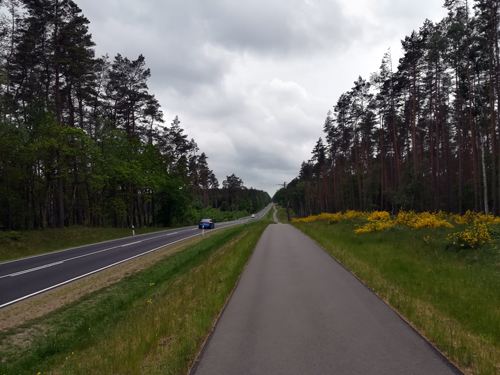 Insel Usedom Fahrradweg parallel zur B 110