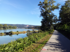 donauradweg_75