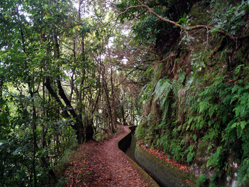 Estalagem Eira do Serrado - Curral das Freiras