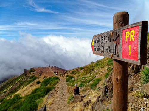 Madeira Porto Moniz - Levada August 2018